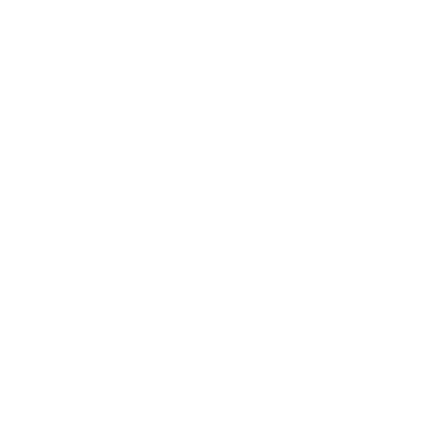 logo transparent city mag dr punta cana